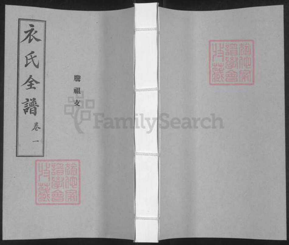 山东省烟台市栖霞市桃村镇衣氏族谱-衣氏全谱.腾祖支.pdf电子版