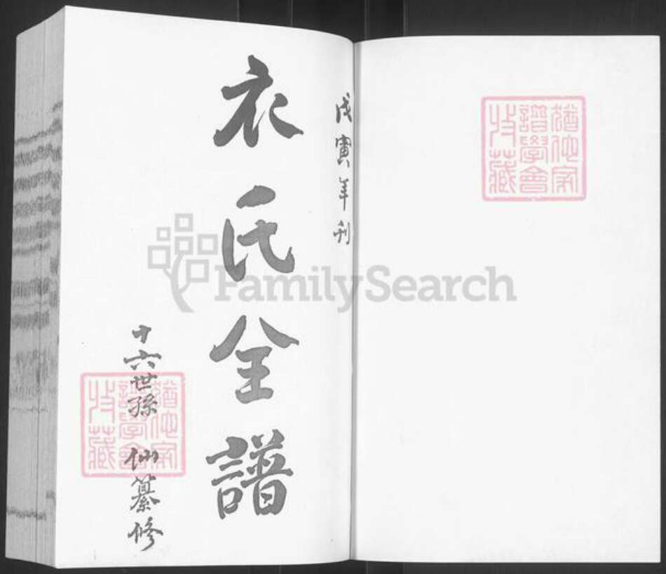 山东省烟台市栖霞市桃村镇衣氏族谱-衣氏全谱.腾祖支.pdf电子版预览图1