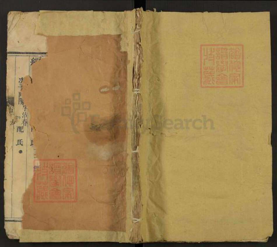 山东省泰安市肥城市桃园镇阴氏族谱-阴氏全谱.pdf电子版缩略图