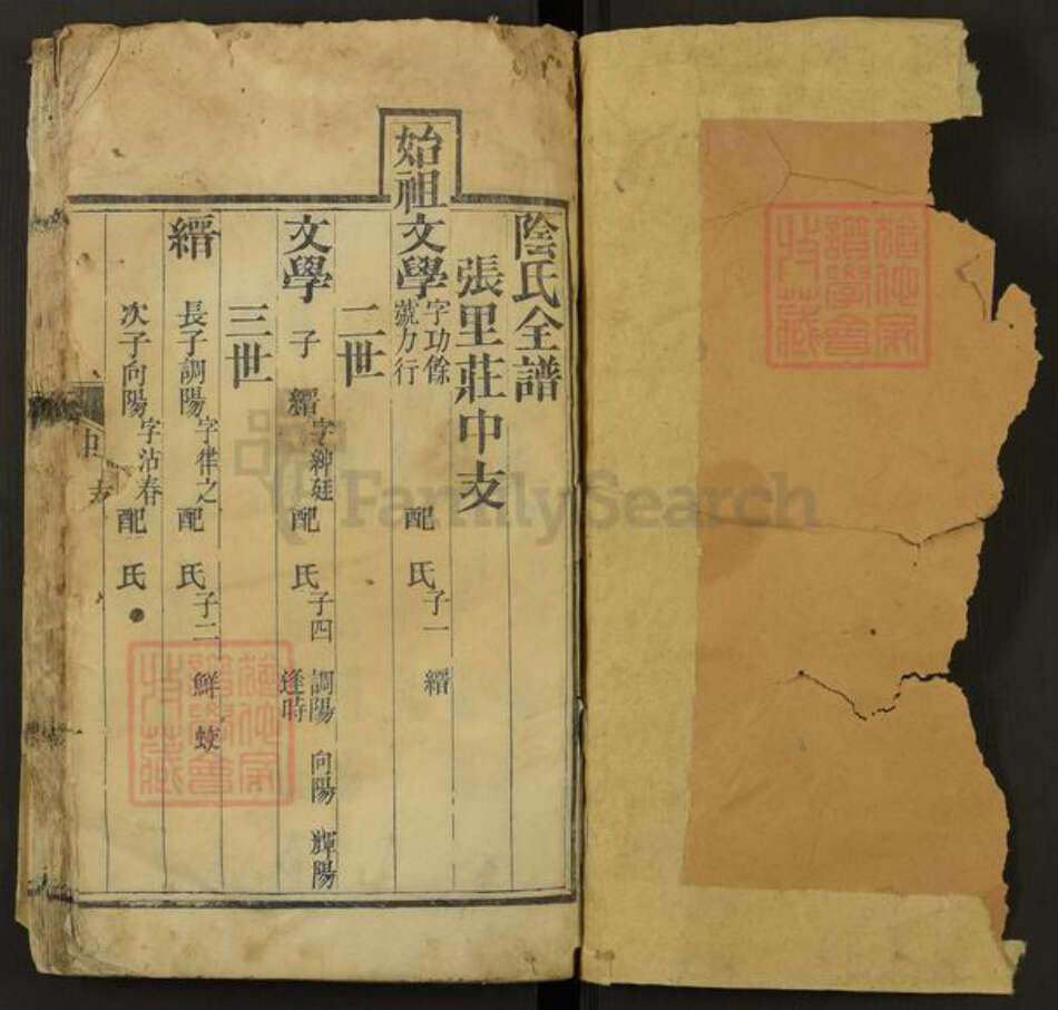 山东省泰安市肥城市桃园镇阴氏族谱-阴氏全谱.pdf电子版预览图1