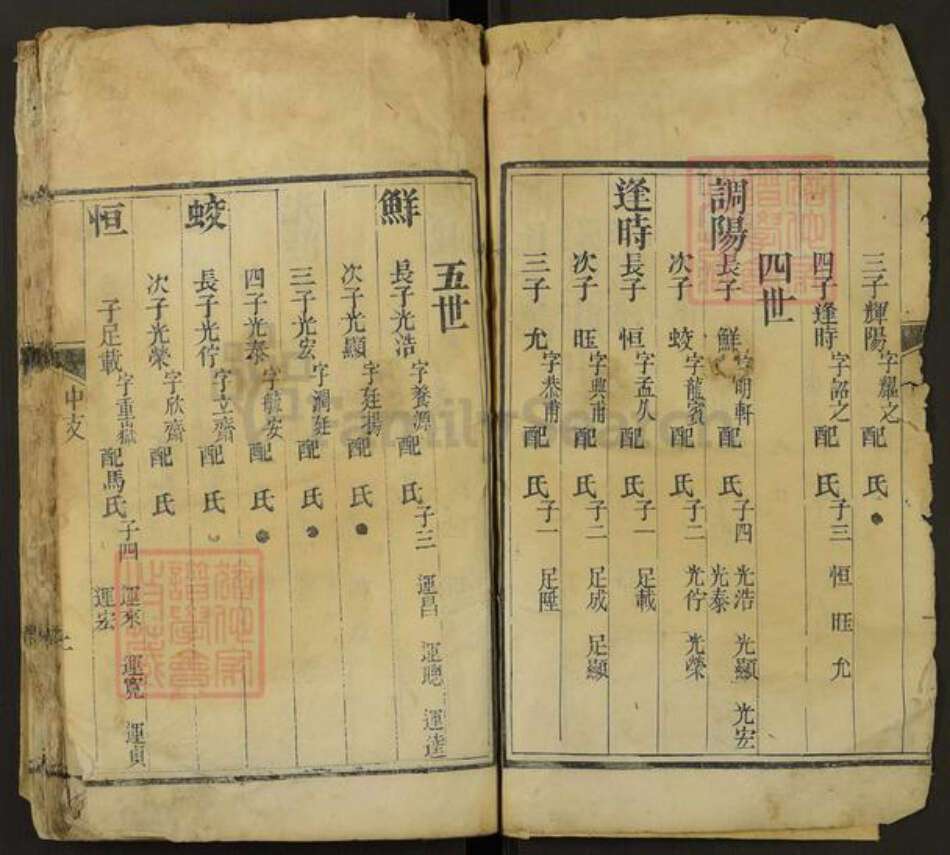 山东省泰安市肥城市桃园镇阴氏族谱-阴氏全谱.pdf电子版预览图2