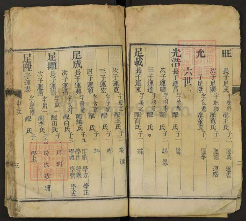 山东省泰安市肥城市桃园镇阴氏族谱-阴氏全谱.pdf电子版预览图3