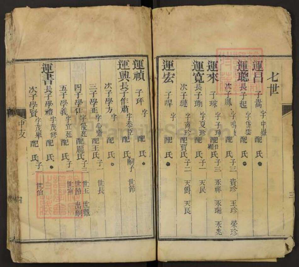 山东省泰安市肥城市桃园镇阴氏族谱-阴氏全谱.pdf电子版预览图4