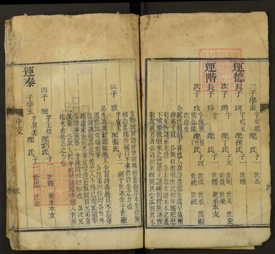 山东省泰安市肥城市桃园镇阴氏族谱-阴氏全谱.pdf电子版预览图5