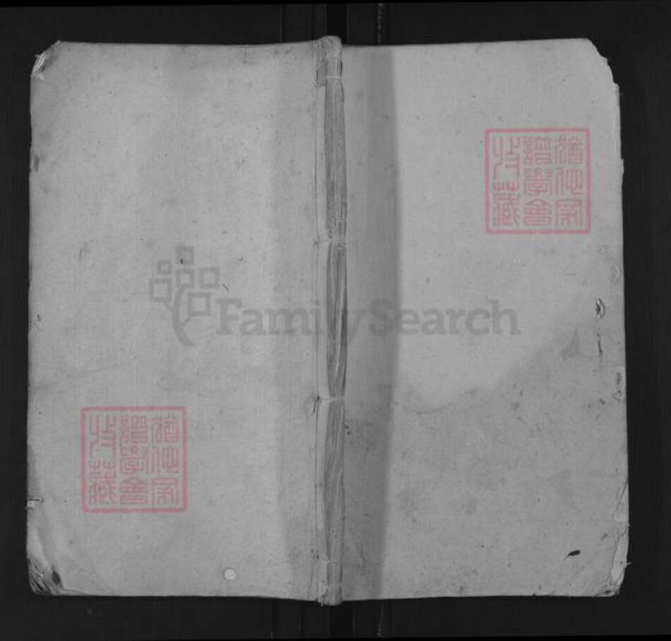 湖南省衡阳市常宁市尹氏一经堂族谱-尹氏三修家谱.pdf电子版缩略图