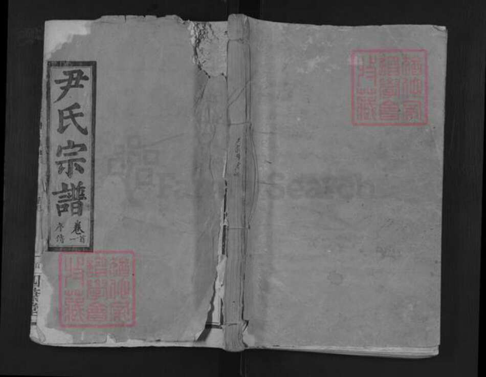 湖北省黄石市阳新县尹氏四叶堂族谱-尹氏宗谱.pdf电子版缩略图