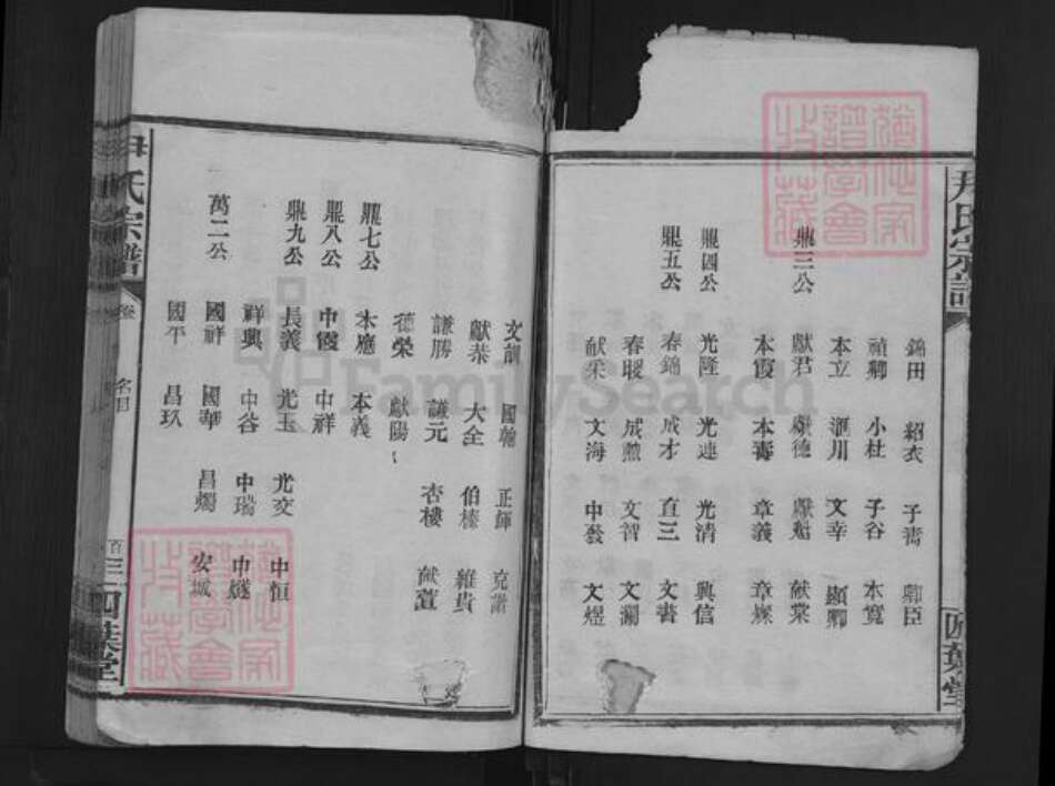 湖北省黄石市阳新县尹氏四叶堂族谱-尹氏宗谱.pdf电子版预览图4