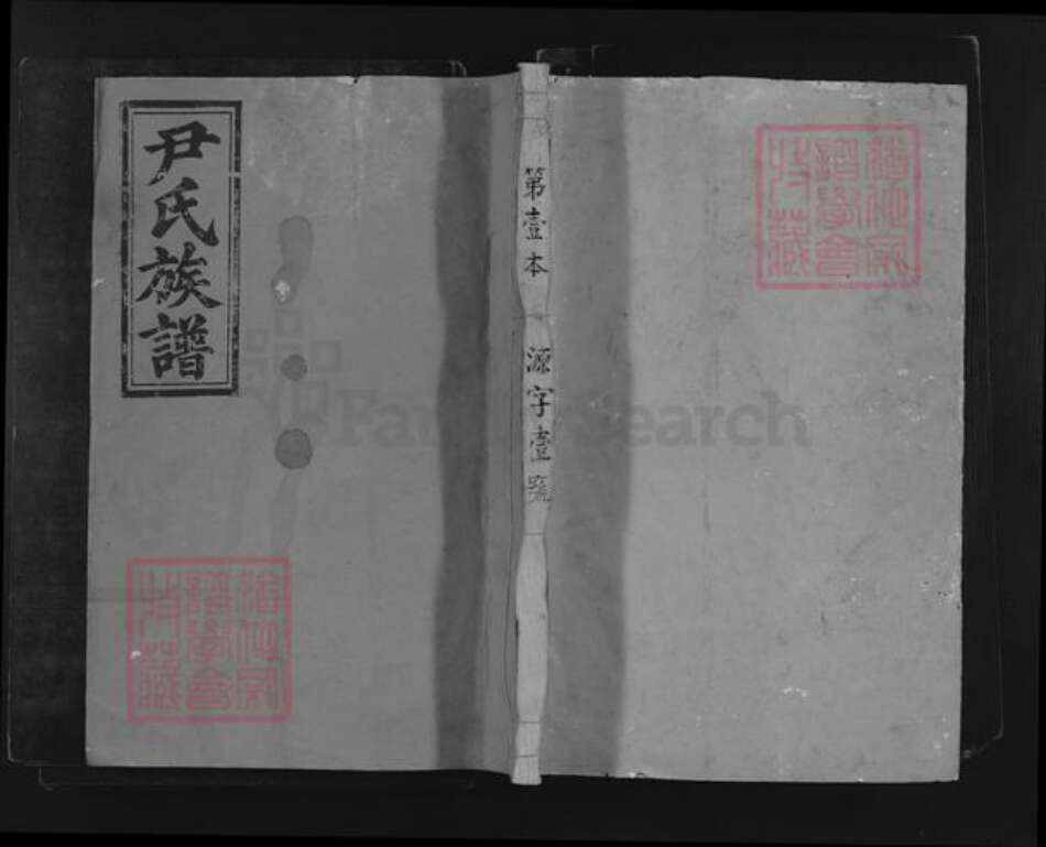 浙江省丽水市龙泉市尹氏华昌堂族谱-尹氏族谱.pdf电子版缩略图