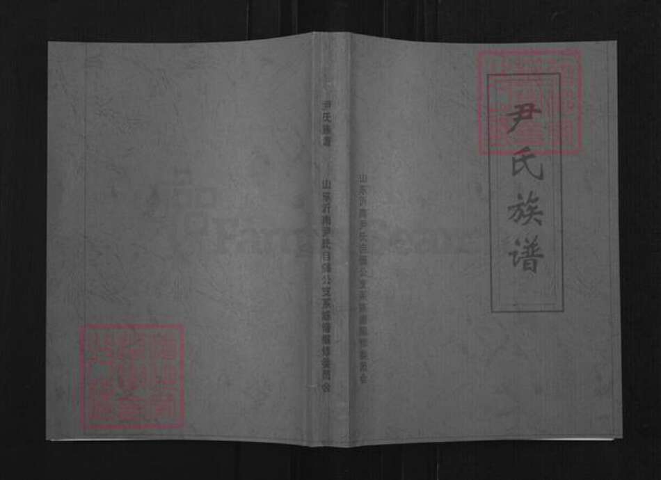 山东省临沂市沂南县张庄镇尹氏族谱-尹氏族谱.pdf电子版缩略图