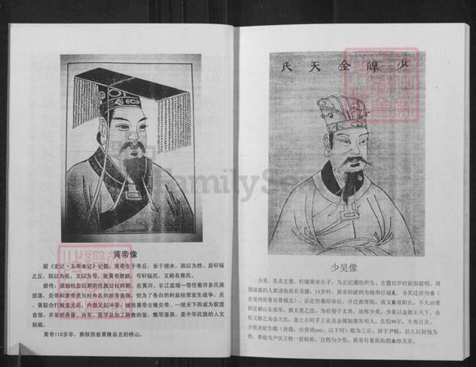 山东省临沂市沂南县张庄镇尹氏族谱-尹氏族谱.pdf电子版预览图4