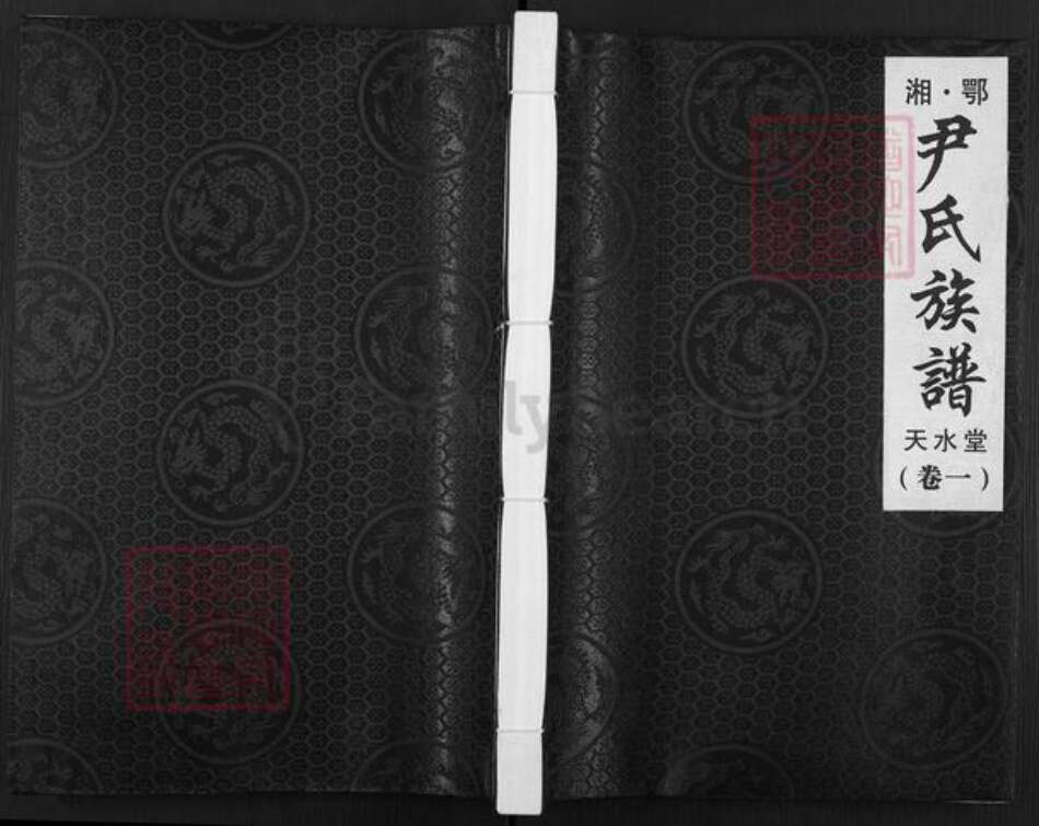 湖南省常德市尹氏天水堂族谱-尹氏族谱.pdf电子版缩略图