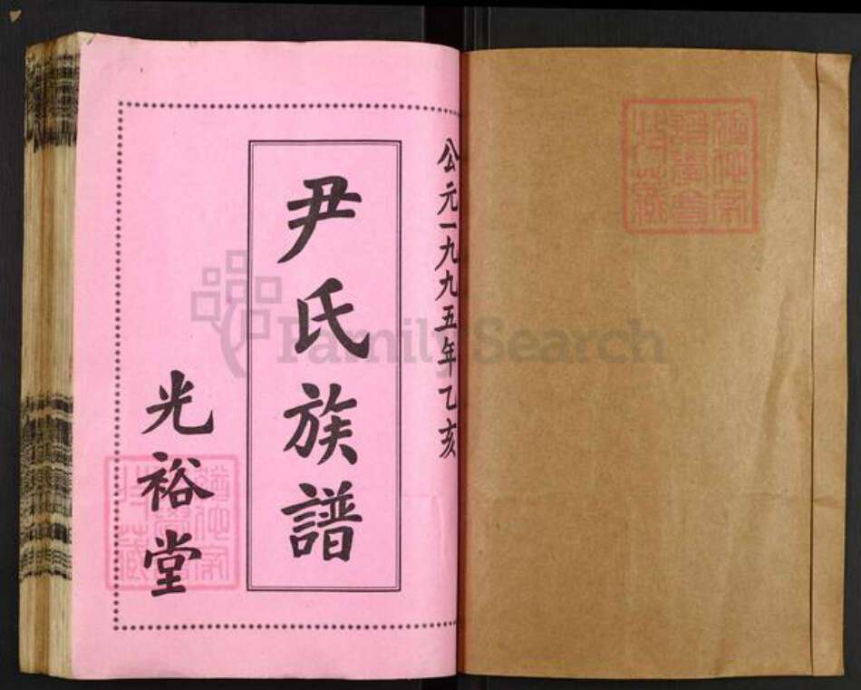 湖南省衡阳市衡阳县栏垄乡尹氏光裕堂族谱-尹氏族谱.pdf电子版预览图1