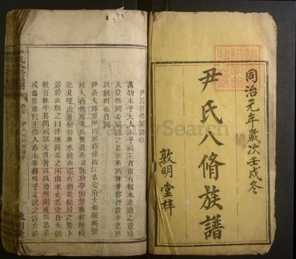 湖南省郴州市桂阳县尹氏族谱-尹氏八修通谱 [总卷数不详].pdf电子版预览图1
