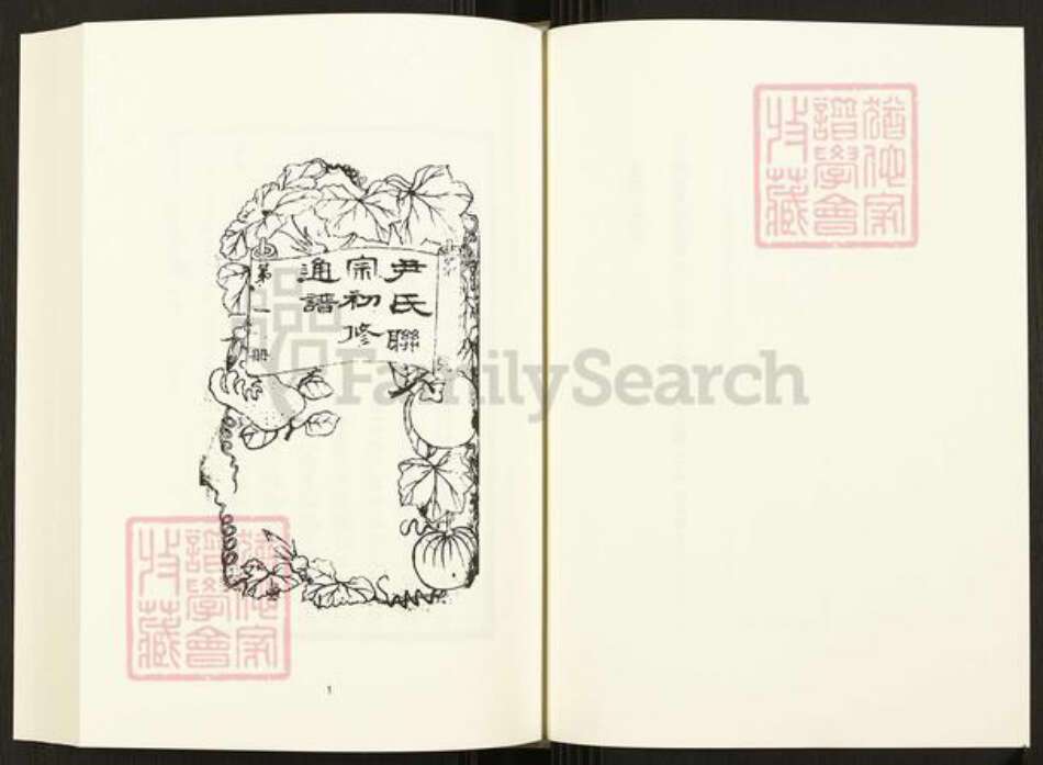 重庆市开州区四川省尹氏族谱-中国珍稀家谱丛刊.四川家谱.第49~53册.尹氏联宗初修通谱.pdf电子版预览图3