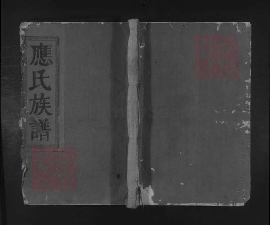 福建省三明市建宁县应氏族谱-[福建建宁]应氏族谱 [不分卷].pdf电子版缩略图