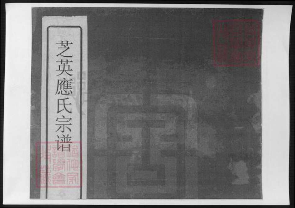 浙江省金华市永康市应氏族谱-芝英应氏宗谱.pdf电子版缩略图