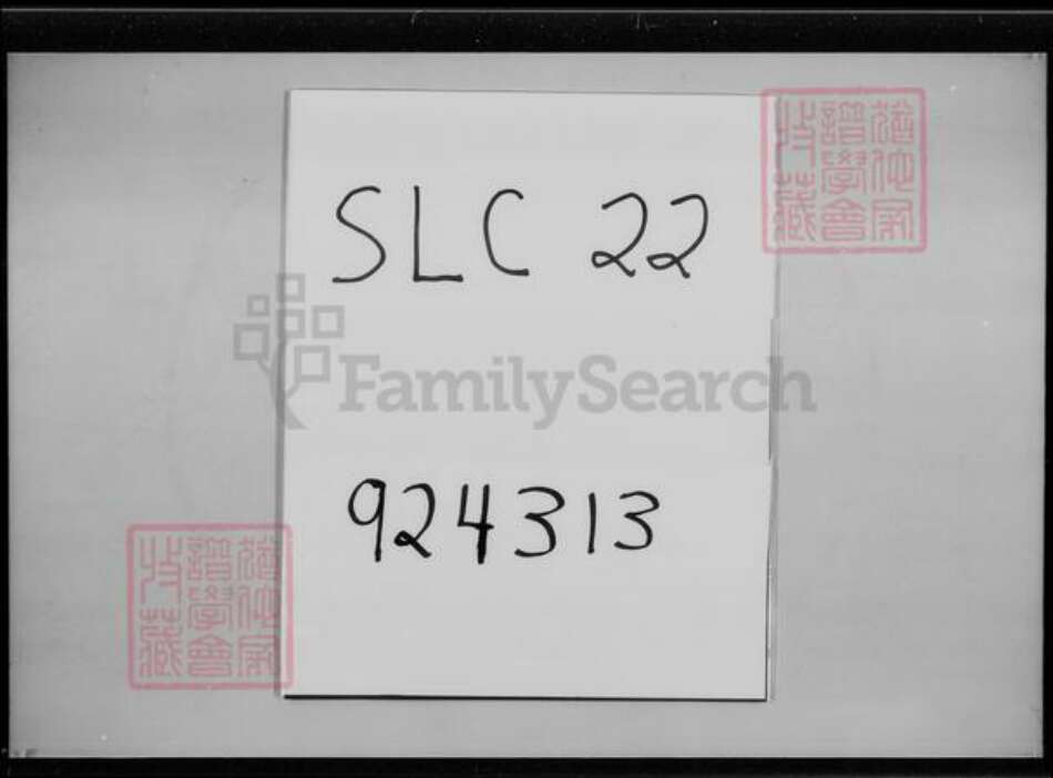 福建省游氏东兴堂族谱-游氏大族谱.pdf电子版缩略图