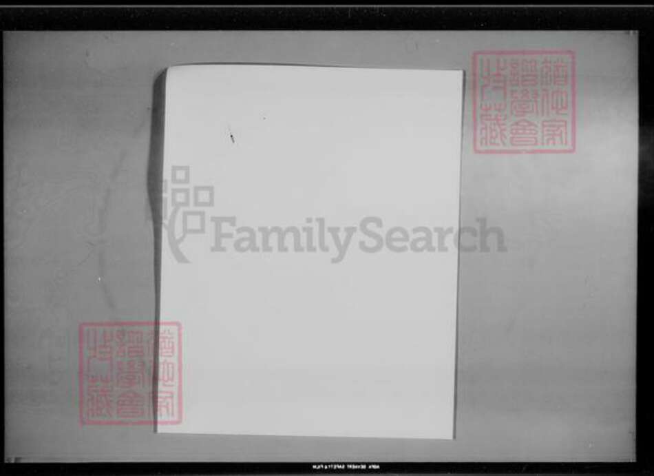 福建省游氏东兴堂族谱-游氏大族谱.pdf电子版预览图1