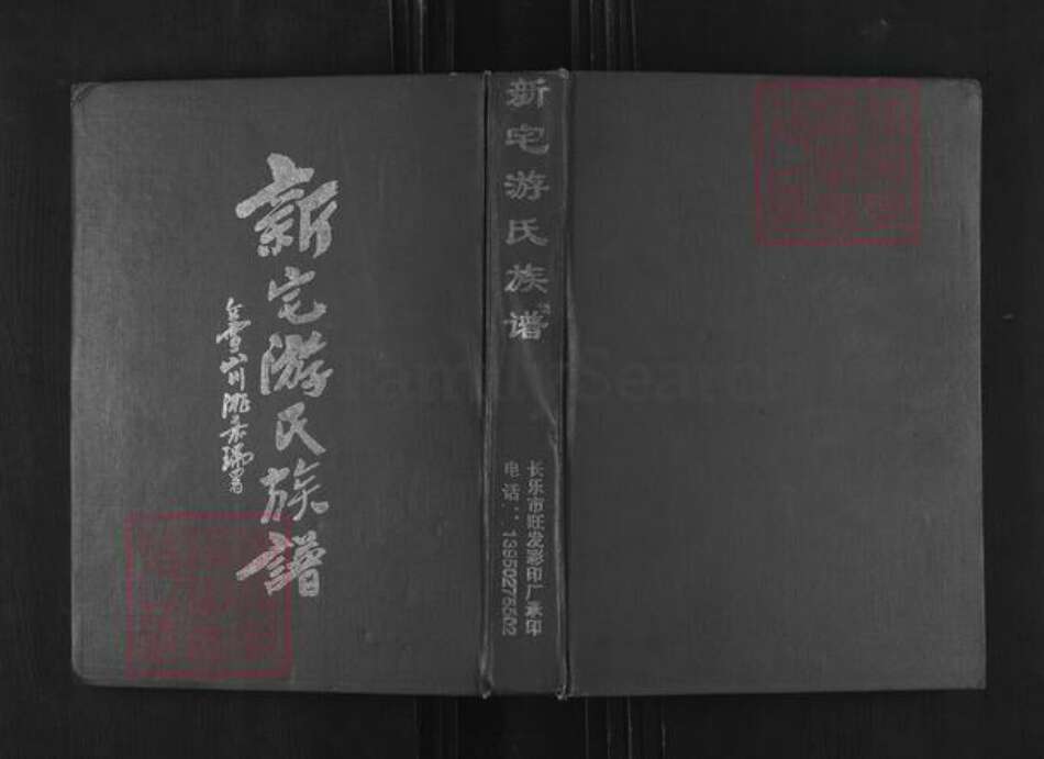 福建省福州市长乐区潭头镇游氏传道堂族谱-新宅游氏族谱.pdf电子版缩略图