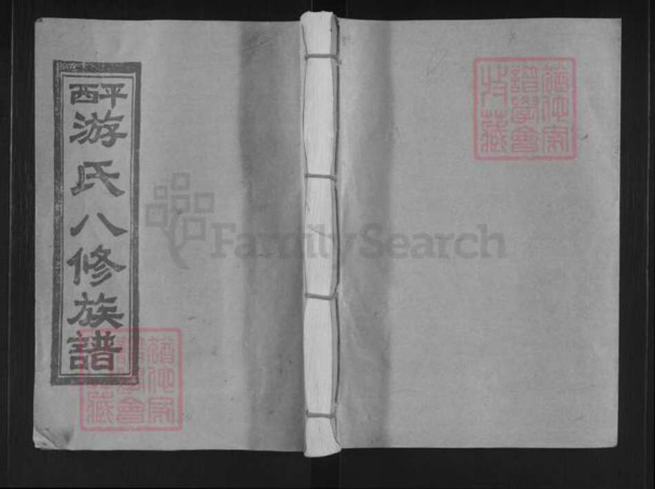 江西省抚州市乐安县公溪镇游氏族谱-平西游氏八修族谱.pdf电子版缩略图