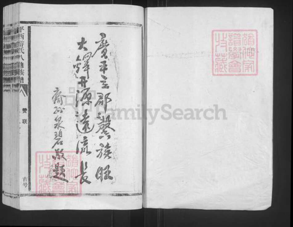 江西省抚州市乐安县公溪镇游氏族谱-平西游氏八修族谱.pdf电子版预览图1