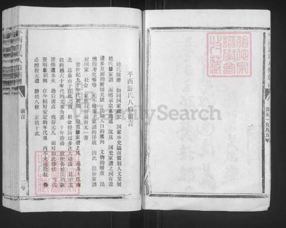 江西省抚州市乐安县公溪镇游氏族谱-平西游氏八修族谱.pdf电子版预览图2