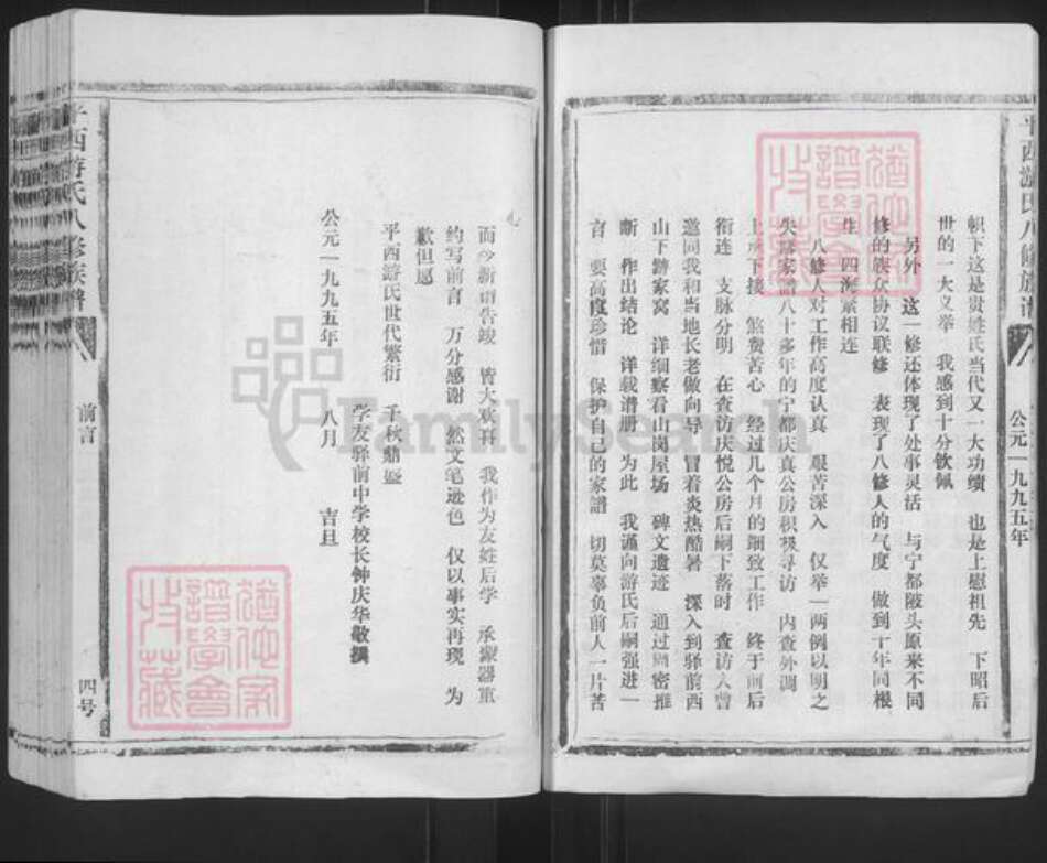 江西省抚州市乐安县公溪镇游氏族谱-平西游氏八修族谱.pdf电子版预览图4