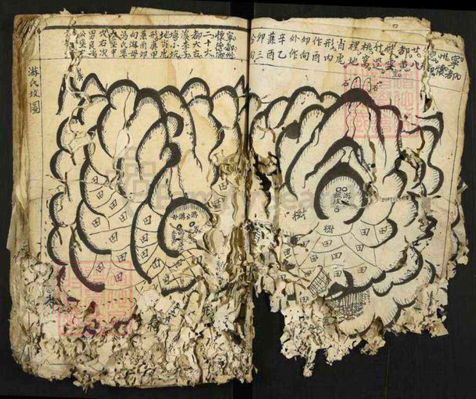 江西省赣州市宁都县洛口镇游氏族谱-游氏族谱.pdf电子版预览图2