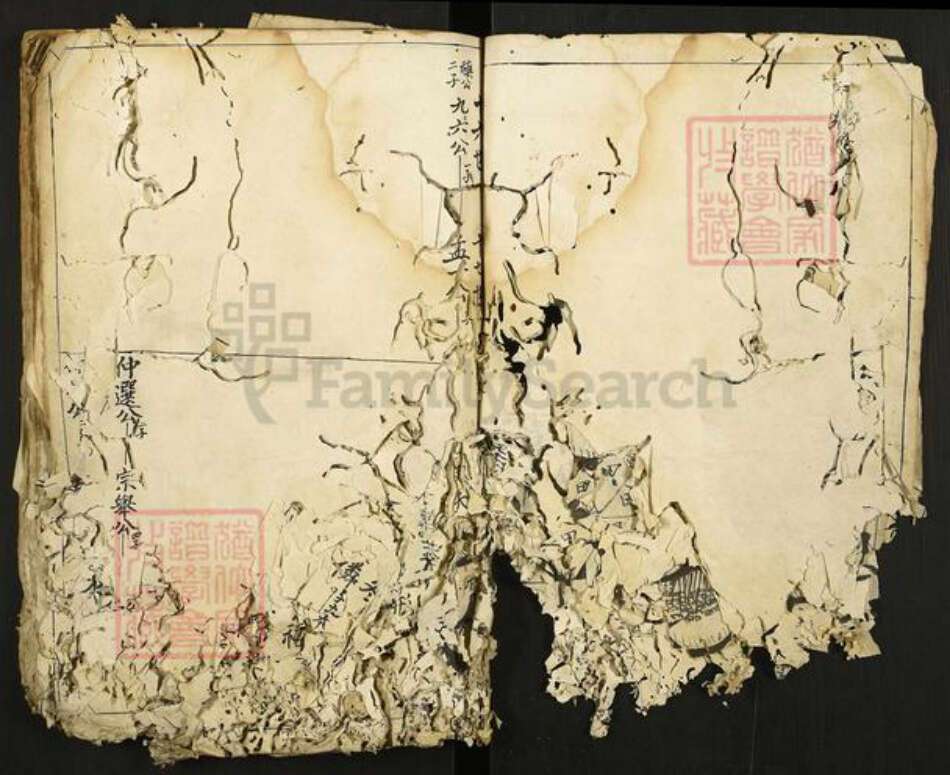 江西省赣州市宁都县洛口镇游氏族谱-游氏族谱.pdf电子版预览图3