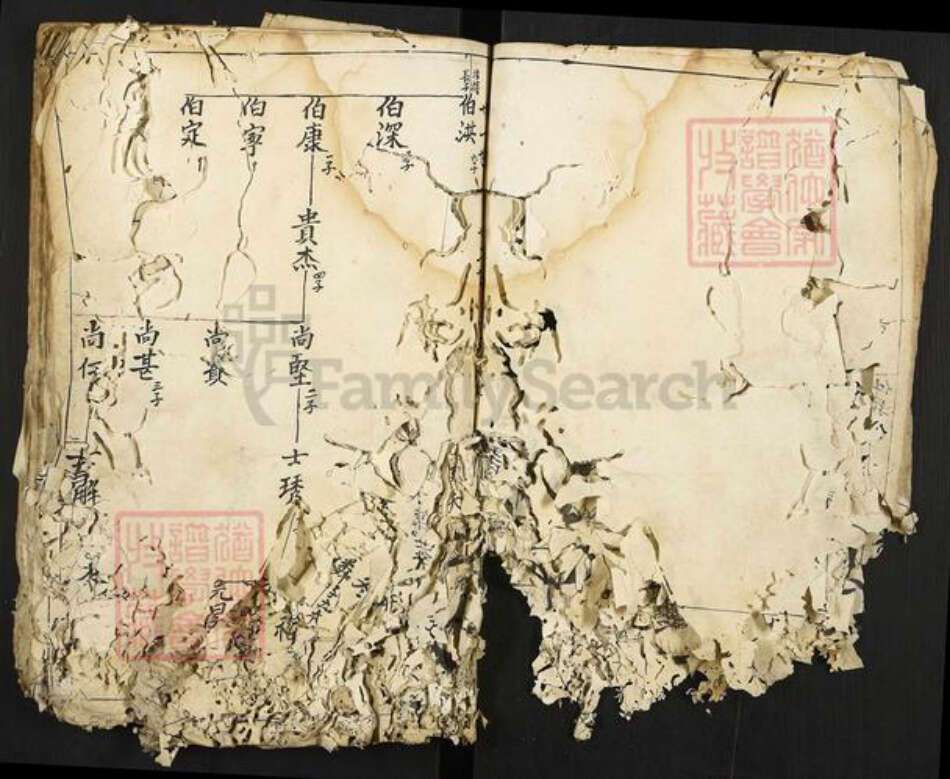 江西省赣州市宁都县洛口镇游氏族谱-游氏族谱.pdf电子版预览图4