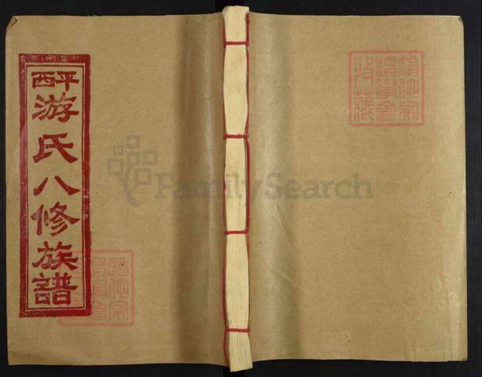 江西省抚州市东乡区江西省抚州市游氏立雪堂族谱-平西游氏八修族谱.pdf电子版缩略图