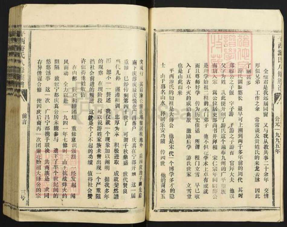 江西省抚州市东乡区江西省抚州市游氏立雪堂族谱-平西游氏八修族谱.pdf电子版预览图3