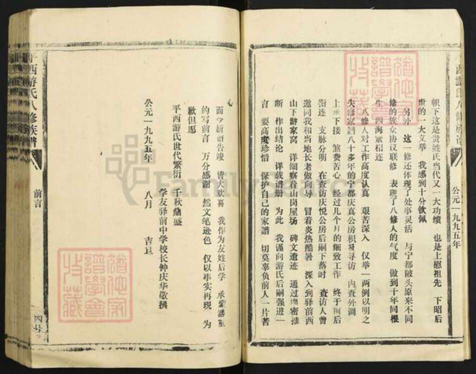 江西省抚州市东乡区江西省抚州市游氏立雪堂族谱-平西游氏八修族谱.pdf电子版预览图4