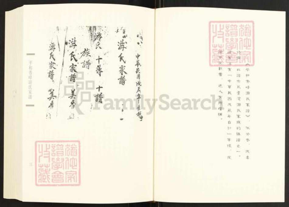 福建省漳州市平和县秀峰乡游氏族谱-闽南涉台族谱汇编.第100册.平和秀峰游氏家谱等.pdf电子版预览图3