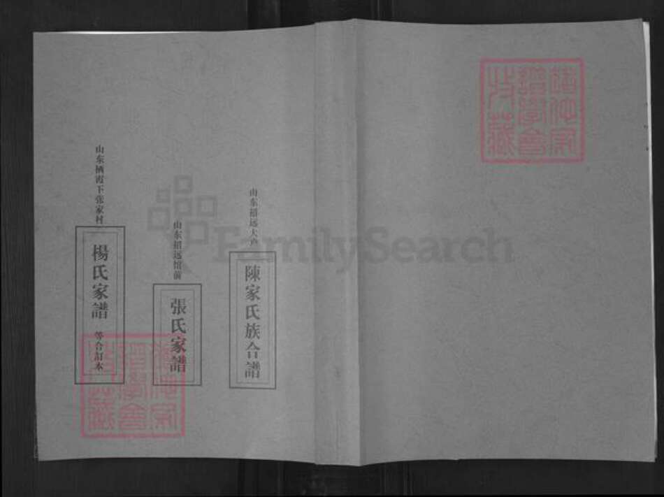 山东省烟台市招远市金岭镇于氏族谱-大户陈家于氏族谱.pdf电子版缩略图