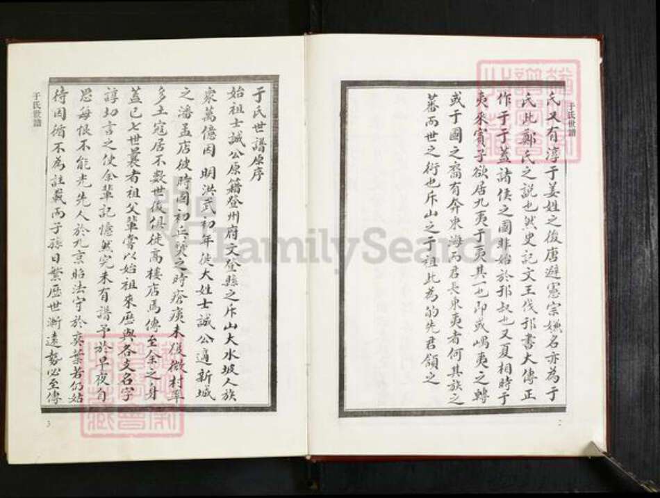 山东省淄博市桓台县田庄镇于氏族谱-于氏世谱.pdf电子版预览图4