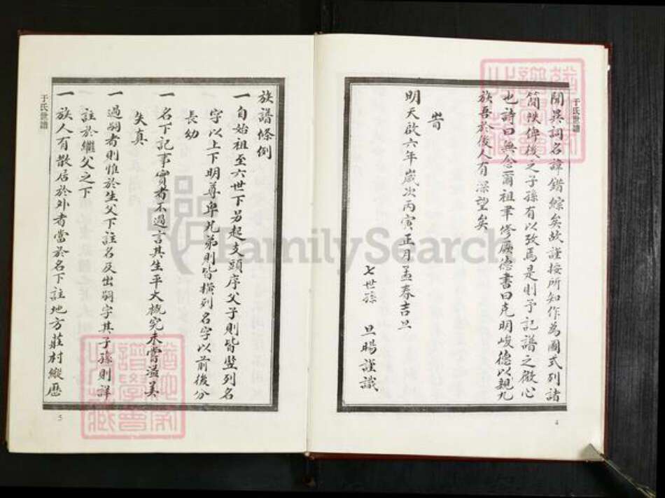 山东省淄博市桓台县田庄镇于氏族谱-于氏世谱.pdf电子版预览图5