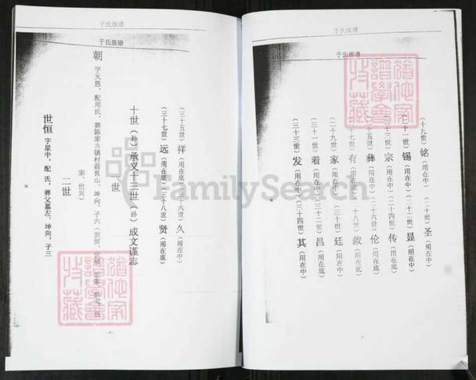 山东省青岛市即墨区于氏族谱-于氏族谱[不分卷].pdf电子版预览图4