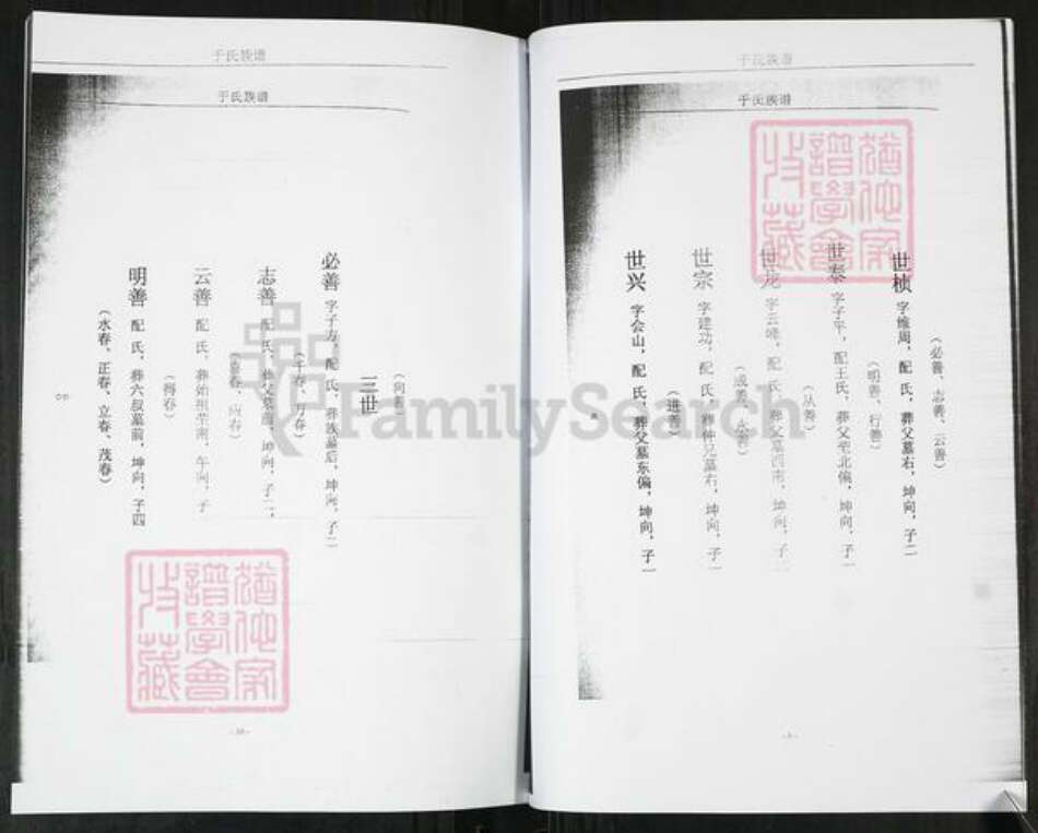 山东省青岛市即墨区于氏族谱-于氏族谱[不分卷].pdf电子版预览图5