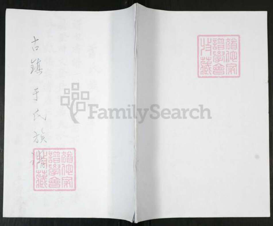 山东省青岛市即墨区于氏族谱-于氏族谱[不分卷].pdf电子版缩略图