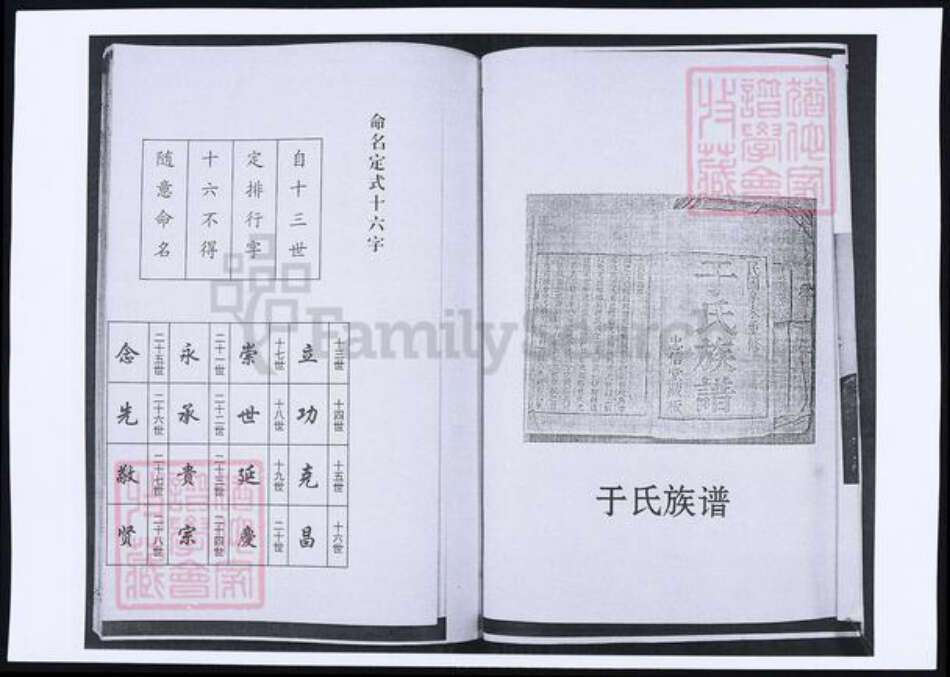 山东省青岛市城阳区于氏族谱-山东青岛城阳傅家端口于氏族谱.pdf电子版预览图2