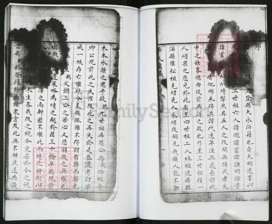 山东省青岛市即墨区于氏族谱-于氏族谱[不分卷].pdf电子版预览图5