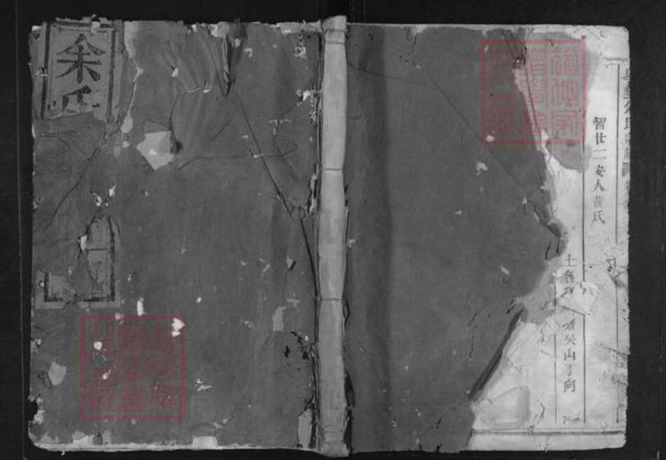 浙江省衢州龙游县詹家镇余氏族谱-岑壄余氏宗谱.pdf电子版缩略图