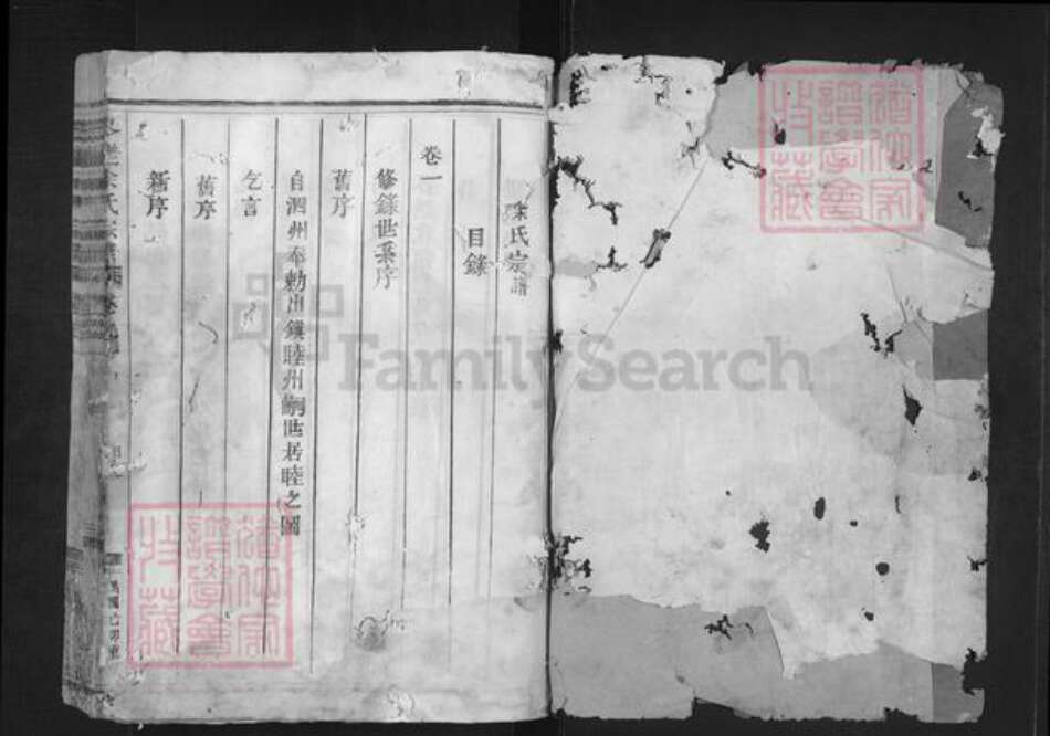 浙江省衢州龙游县詹家镇余氏族谱-岑壄余氏宗谱.pdf电子版预览图1