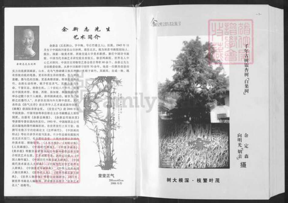 重庆市万州余氏族谱-余氏新谱续集.pdf电子版预览图3