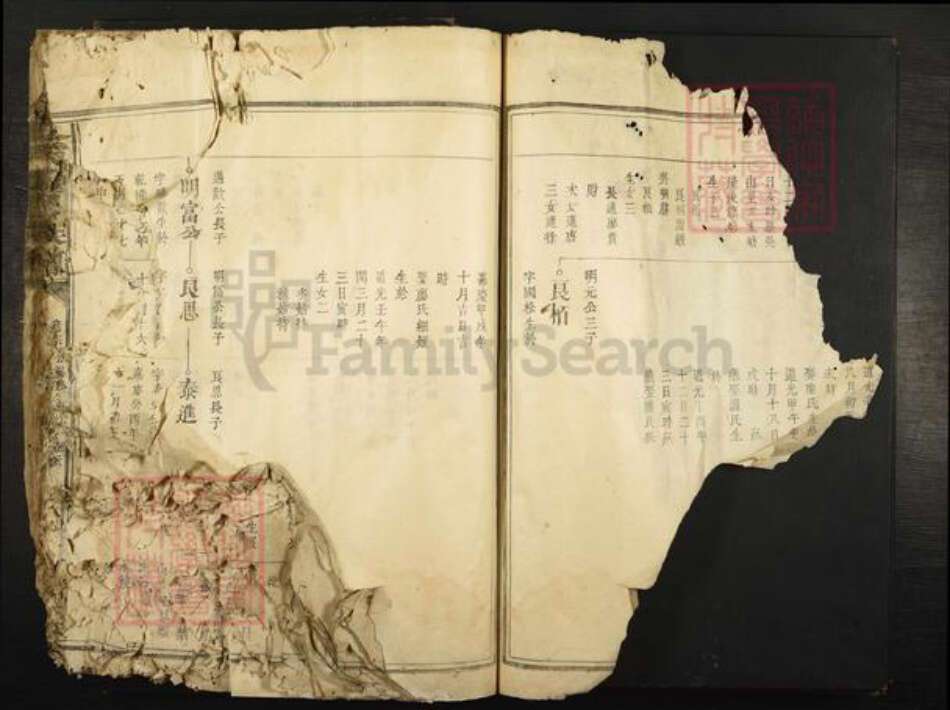 江西省赣州市宁都县黄陂镇余氏族谱-余氏重修族谱.pdf电子版预览图2