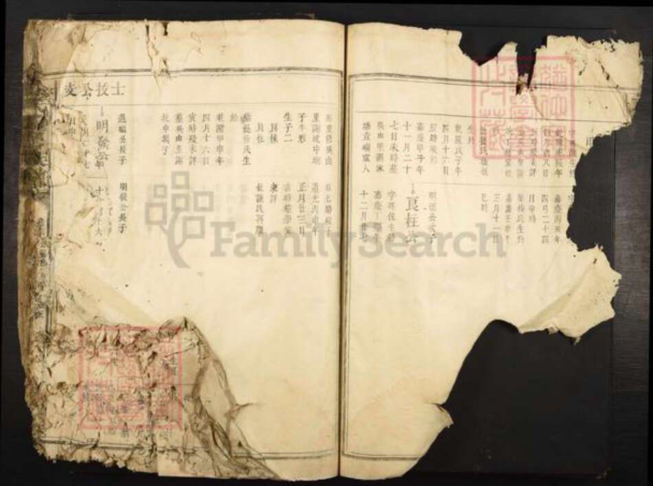 江西省赣州市宁都县黄陂镇余氏族谱-余氏重修族谱.pdf电子版预览图4