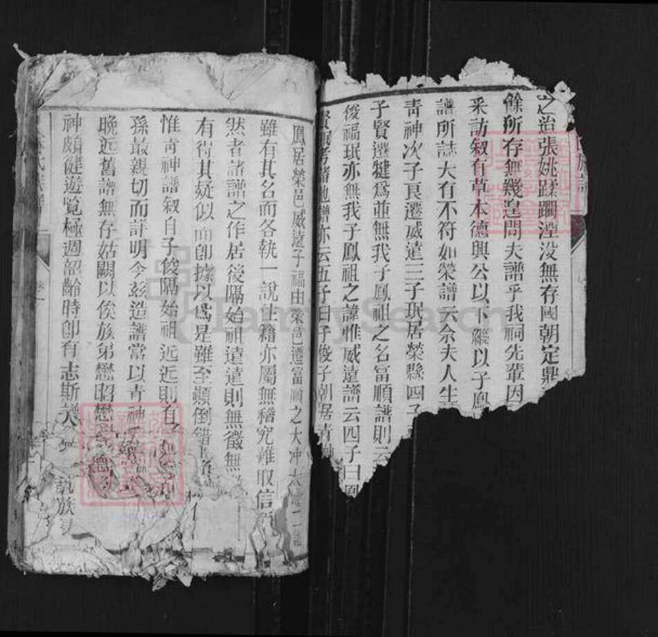 四川省泸州市龙马潭区鱼塘街道余氏族谱-余氏族谱.pdf电子版预览图2