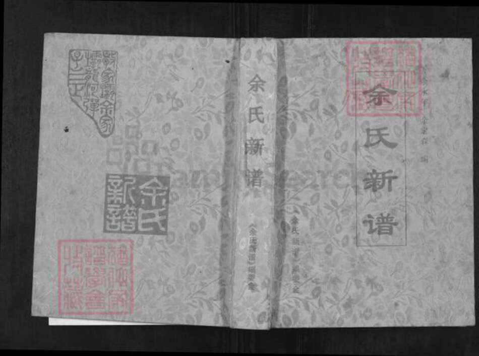 重庆市万州余氏族谱-余氏新谱.pdf电子版缩略图