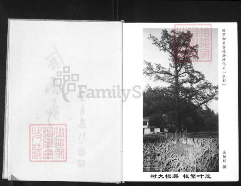 重庆市万州余氏族谱-余氏新谱.pdf电子版预览图3